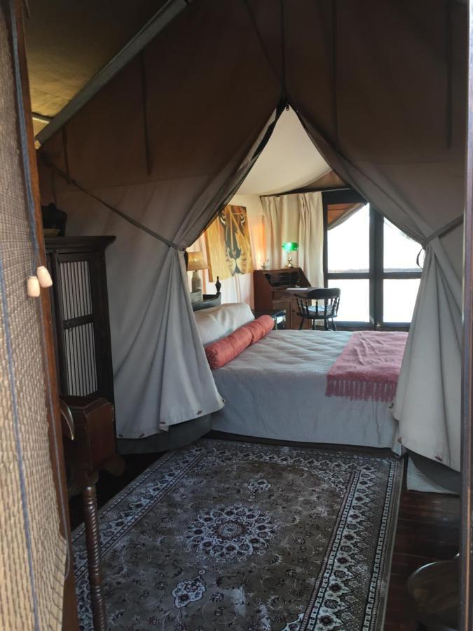 Out In Africa Wildlife Lodge Hammanskraal Buitenkant foto