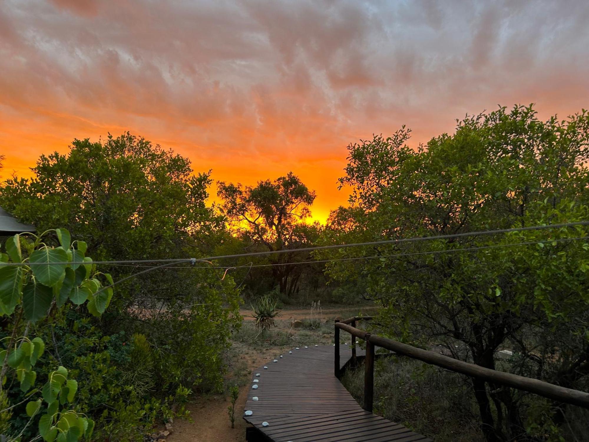 Out In Africa Wildlife Lodge Hammanskraal Buitenkant foto