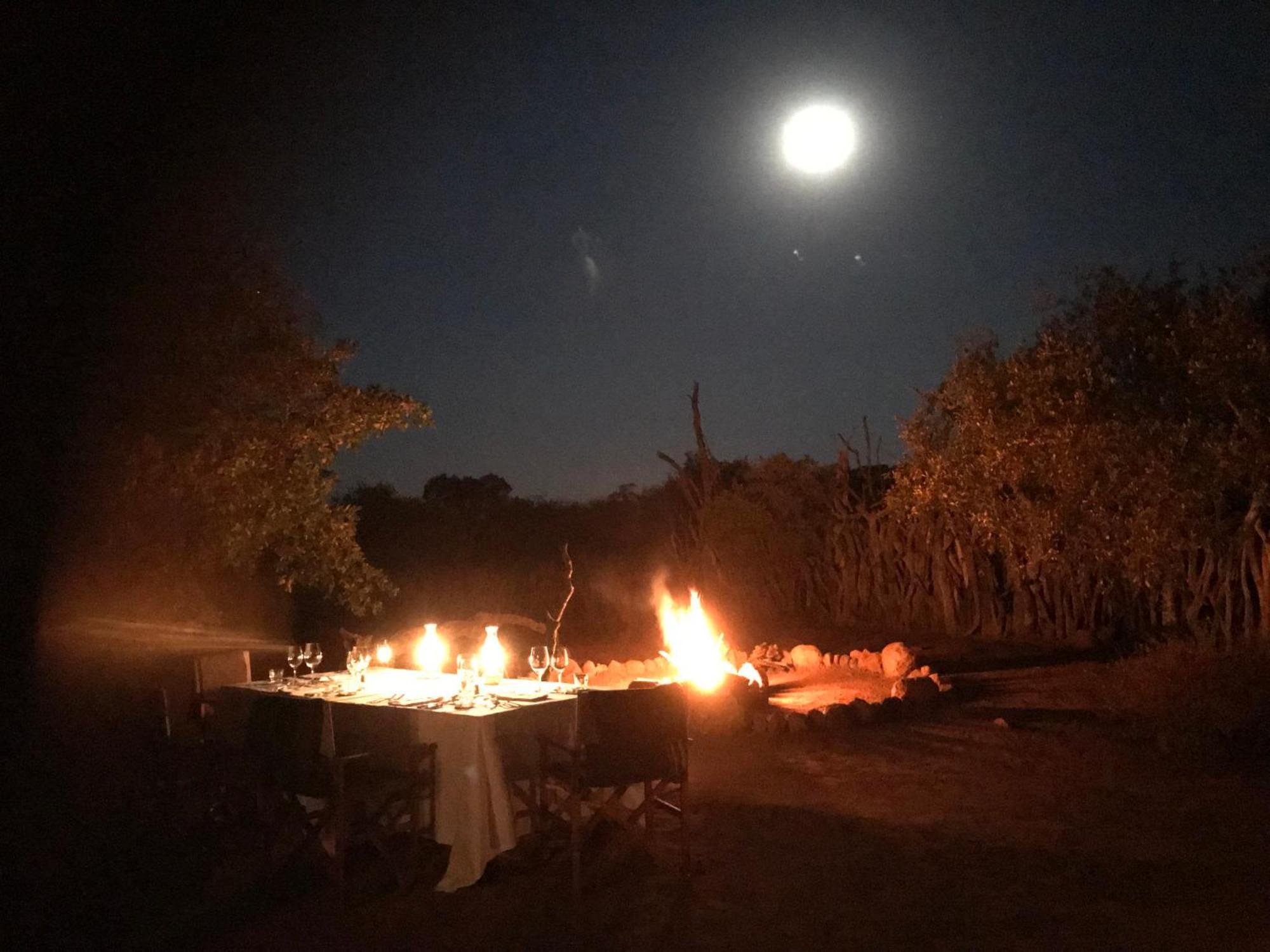Out In Africa Wildlife Lodge Hammanskraal Buitenkant foto